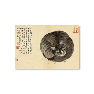 Product info: 明 沈周 寫生冊 貓   明信片